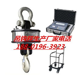 耐高溫吊鉤秤與無線傳輸電子吊鉤秤價(jià)格解析及優(yōu)質(zhì)生產(chǎn)廠家推薦
