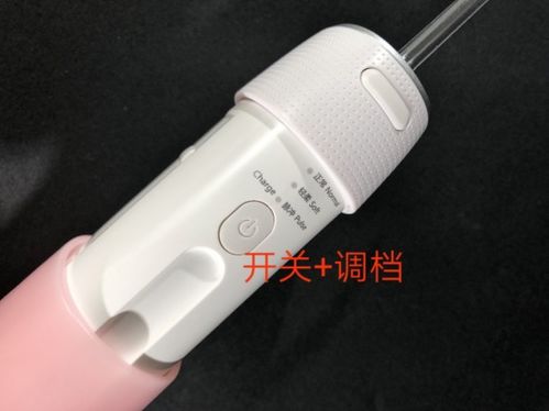 深度測評！潔碧、松下、羅曼、歌嵐四大便攜式沖牙器，哪款更值得買？